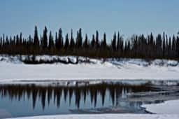 squirrel-river-LG-3.jpg