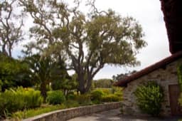 santa-catalina-LG-7.jpg