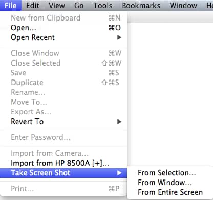 Preview Screen Capture Options