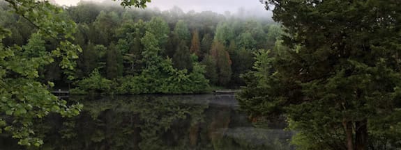 Kinetic Half 2016 Race Report